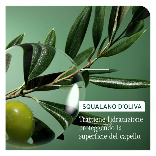 Biolage strength recovery - biolage,